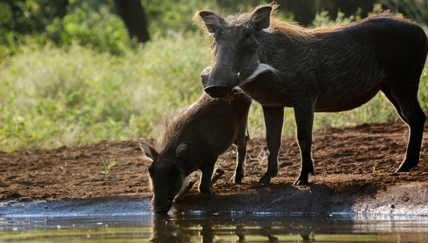 International teaching jobs closing this week   15 September 2025