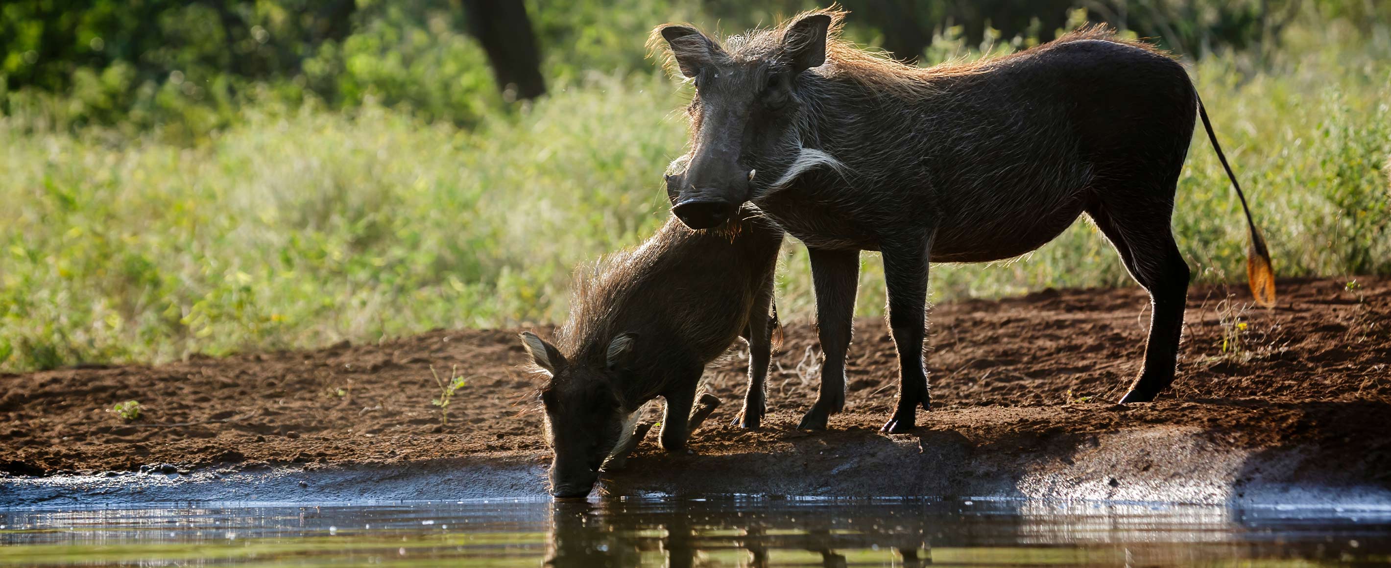 International teaching jobs closing this week   15 September 2025