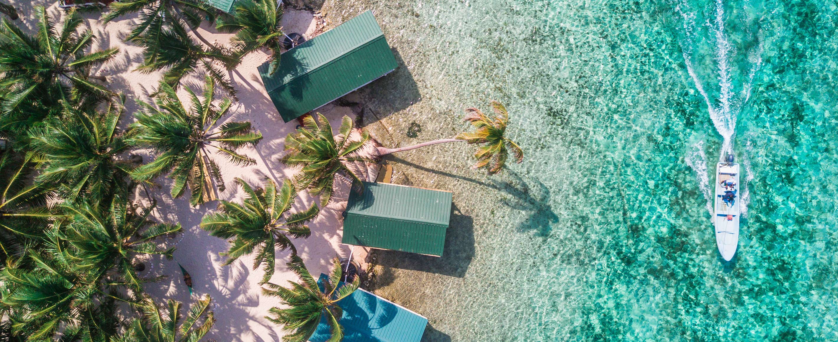 International teaching jobs new this week   26 September 2025