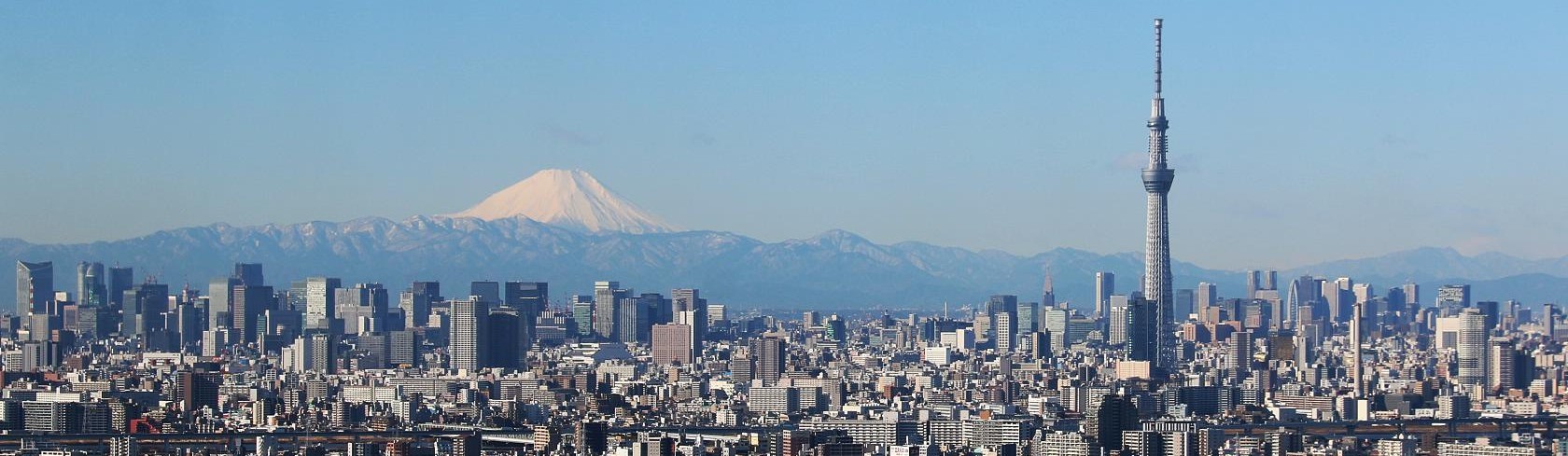 United School of Tokyo Banner