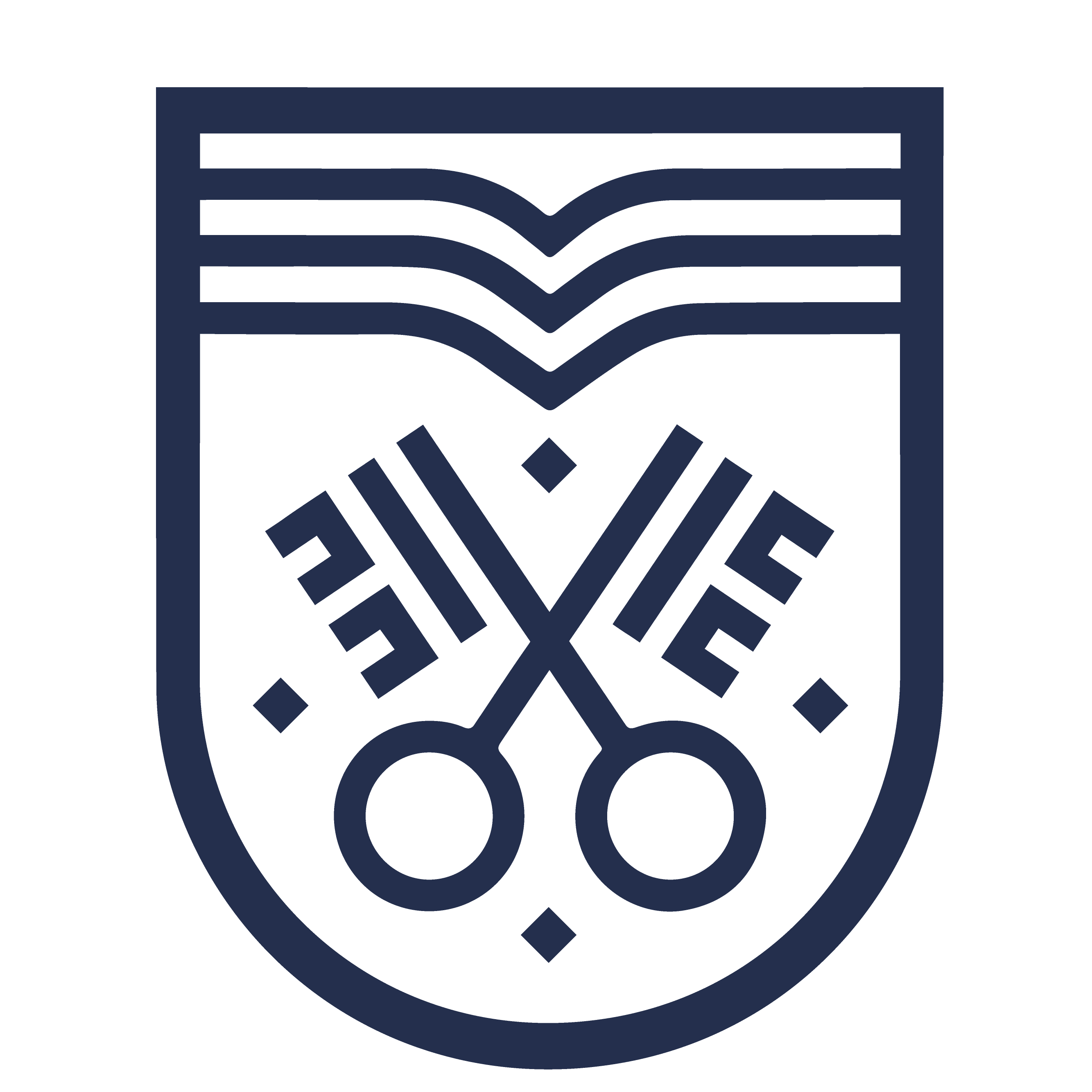 Le Regent International School Logo